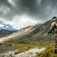 Illustration for article titled Hunting Alaskas Most Elusive Big Game